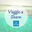 logo viaggio a sharm 